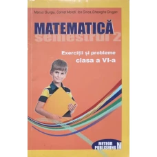 MATEMATICA SEMESTRUL 2. EXERCITII SI PROBLEME CLASA A VI-A