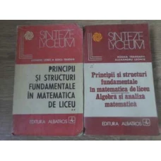 PRINCIPII SI STRUCTURI FUNDAMENTALE IN MATEMATICA DE LICEU ALGEBRA SI ANALIZA MATEMATICA VOL.1-2