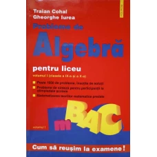 PROBLEME DE ALGEBRA PENTRU LICEU VOL.1 (CLASELE A IX-A SI A X-A)