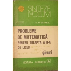 PROBLEME DE MATEMATICA PENTRU TREAPTA A II-A DE LICEU. SIRURI