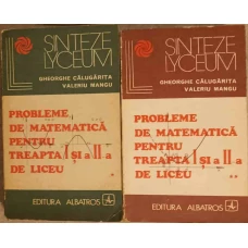 PROBLEME DE MATEMATICA PENTRU TREAPTA I SI A II-A DE LICEU VOL.1-2
