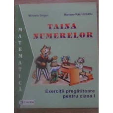 TAINA NUMERELOR EXERCITII PREGATITOARE PENTRU CLASA I. MATEMATICA