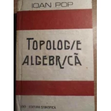 TOPOLOGIE ALGEBRICA