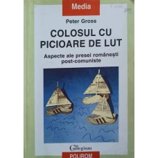 COLOSUL CU PICIOARE DE LUT. ASPECTE ALE PRESEI ROMANESTI POST-COMUNISTE