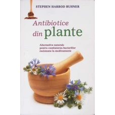 ANTIBIOTICE DIN PLANTE. ALTERNATIVE NATURALE PENTRU COMBATEREA BACTERIILOR REZISTENTE LA MEDICAMENTE