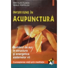 INCURSIUNE IN ACUPUNCTURA