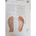 KNAURS ATLAS DER REFLEXZONEN THERAPIE