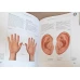 KNAURS ATLAS DER REFLEXZONEN THERAPIE