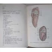 ATLAS PRACTIC DE ANATOMIE VETERINARA. BOS TAURUS, OVIS ARIENS, SUS SCROFA DOMESTICA