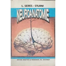NEUROANATOMIE
