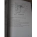 ANATOMIA EXTREMITATII CEFALICE