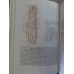 ANATOMIA HUMANA VOL.1-3 (MUSCHI, ORGANE INTERNE, SISTEMUL NERVOS, IN LB. SPANIOLA)