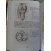 ANATOMIA HUMANA VOL.1-3 (MUSCHI, ORGANE INTERNE, SISTEMUL NERVOS, IN LB. SPANIOLA)