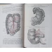 ANATOMIA LUI GRAY DESCRIPTIVA SI APLICATA VOL. 3 ANGIOLOGIE, NEUROLOGIE