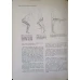 ANATOMIA OMULUI VOL.1 APARATUL LOCOMOTOR