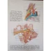 ANATOMIA OMULUI VOL.1 APARATUL LOCOMOTOR