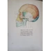 ANATOMIA OMULUI VOL.1 APARATUL LOCOMOTOR