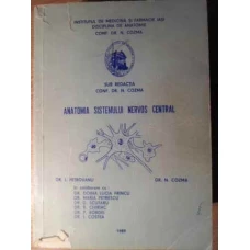 ANATOMIA SISTEMULUI NERVOS CENTRAL