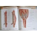 ATLAS DE ANATOMIE A OMULUI