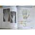 ATLAS DE ANATOMIE A OMULUI