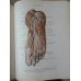 ATLAS DE ANATOMIE UMANA VOL.1-3 (IN LB. RUSA)
