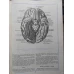 ATLAS DE ANATOMIE UMANA VOL.3 SISTEMUL NERVOS SI ORGANELE DE SIMT
