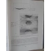 ATLAS IMUNOELECTROFORETIC
