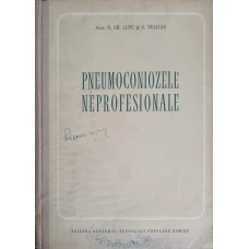 PNEUMOCONIOZELE NEPROFESIONALE