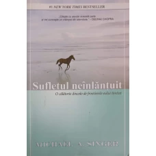 SUFLETUL NEINLANTUIT. O CALATORIE DINCOLO DE FRONTIERELE EULUI LIMITAT
