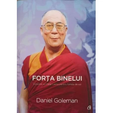 FORTA BINELUI. VIZIUNEA LUI DALAI LAMA PENTRU LUMEA DE AZI