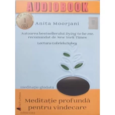 AUDIOBOOK: MEDITATIE PROFUNDA PENTRU VINDECARE