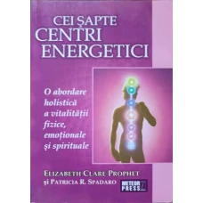CEI SAPTE CENTRI ENERGETICI