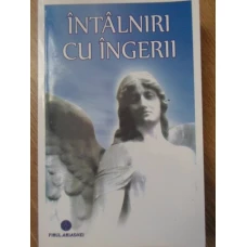 INTALNIRI CU INGERII