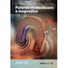 PUTEREA VINDECATOARE A MAGNETILOR. INITIERE IN MAGNETOTERAPIE