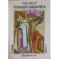 TRANSFORMAREA CALEA BUCURIEI