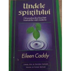 UNDELE SPIRITULUI. CAI PRACTICE DE A FACE FATA INCERCARILOR VIETII MODERNE