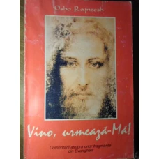 VINO, URMEAZA-MA! COMENTARII ASUPRA UNOR FRAGMENTE DIN EVANGHELII