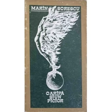 O ARIPA SI-UN PICIOR. DESPRE CUM ERA SA ZBOR