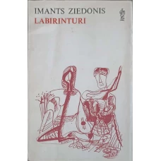 LABIRINTURI