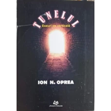 TUNELUL. ESEURI PE VERTICALA