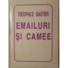 EMAILURI SI CAMEE