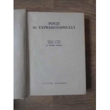 POETI AI EXPRESIONISMULUI