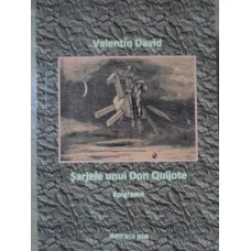 SARJELE UNUI DON QUIJOTE. EPIGRAME