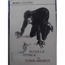 SLUGA LA PRISACA LUI TUDOR ARGHEZI