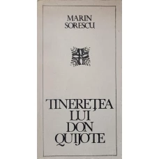 TINERETEA LUI DON QUIJOTE