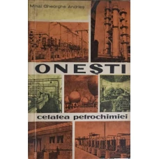 ONESTI - CETATEA PETROCHIMIEI