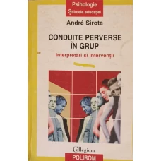 CONDUITE PERVERSE IN GRUP INTERPRETARI SI INTERVENTII