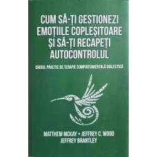 CUM SA-TI GESTIONEZI EMOTIILE COPLESITOARE SI SA-TI RECAPETI AUTOCONTROLUL. GHIDUL PRACTIC DE TERAPIE COMPORTAMENTALA DIALECTICA