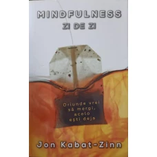 MINDFULNESS ZI DE ZI