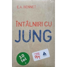 INTALNIRI CU JUNG